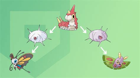 Wurmple: A Quirky Journey Through Evolution and Friendship!